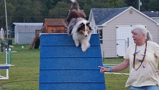 PatMcC_agility